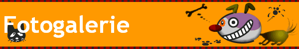 Fotogalerie